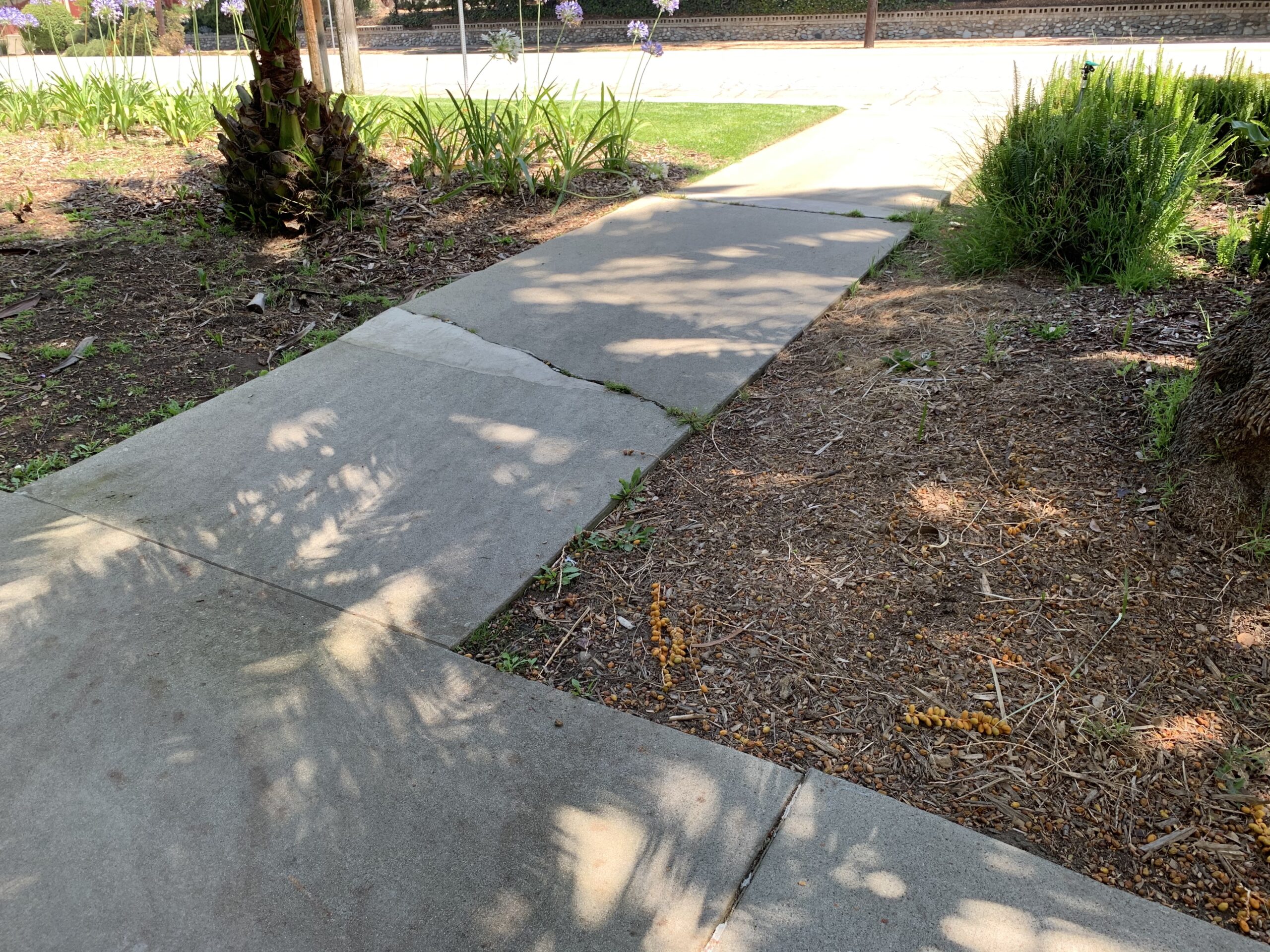 Walkways around library are cracked and uneven